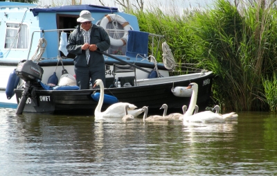 on-the-broads-by-nick