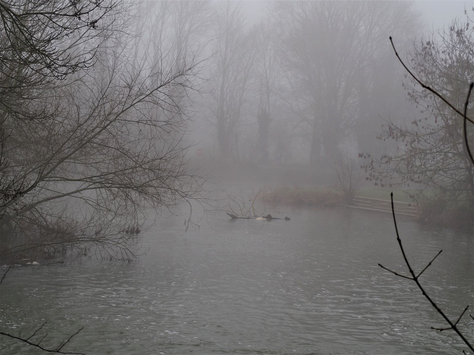 river-in-the-mist-by-nick